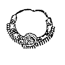 Bihar Panchayat Election Symbol, ग्राम पंचायत चुनाव चिन्ह 1. जिला परिषद् 2. मुखिया 3. पंचायत समिति 4. सरपंच 5. वार्ड सदस्य 6. पंच के लिए चुनाव चिन्ह। Moti Ke Mala Chhap