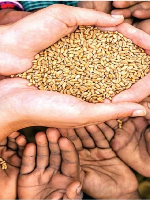 ग्रीन राशन कार्ड 2023: Top Benefits of Green Ration Card in Bihar