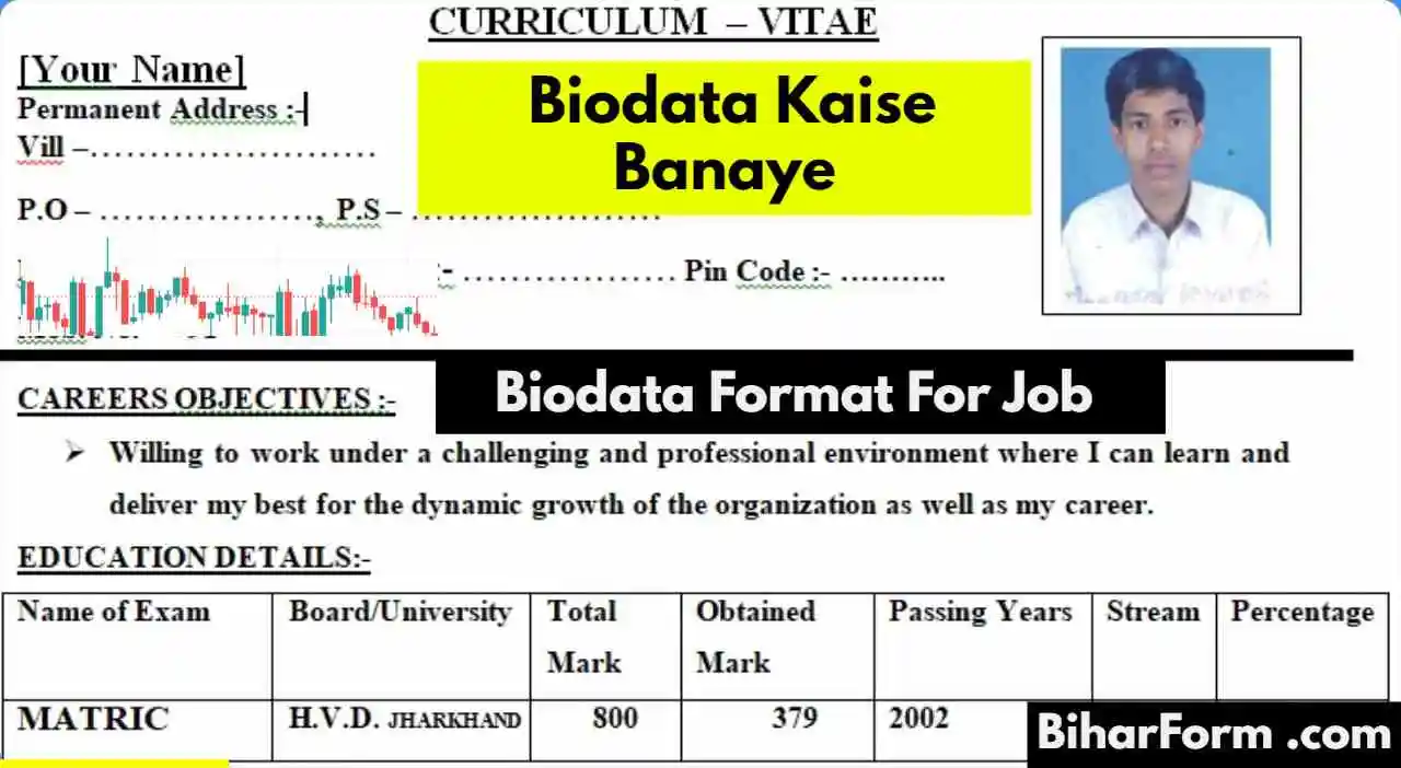 Biodata Format For Job, Biodata Kaise Banaye